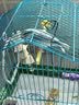 licheers鹦鹉墨鱼骨串磨牙棒补钙磨喙虎皮玄凤鸟专用鹦鹉零食啃咬解闷玩具 实拍图