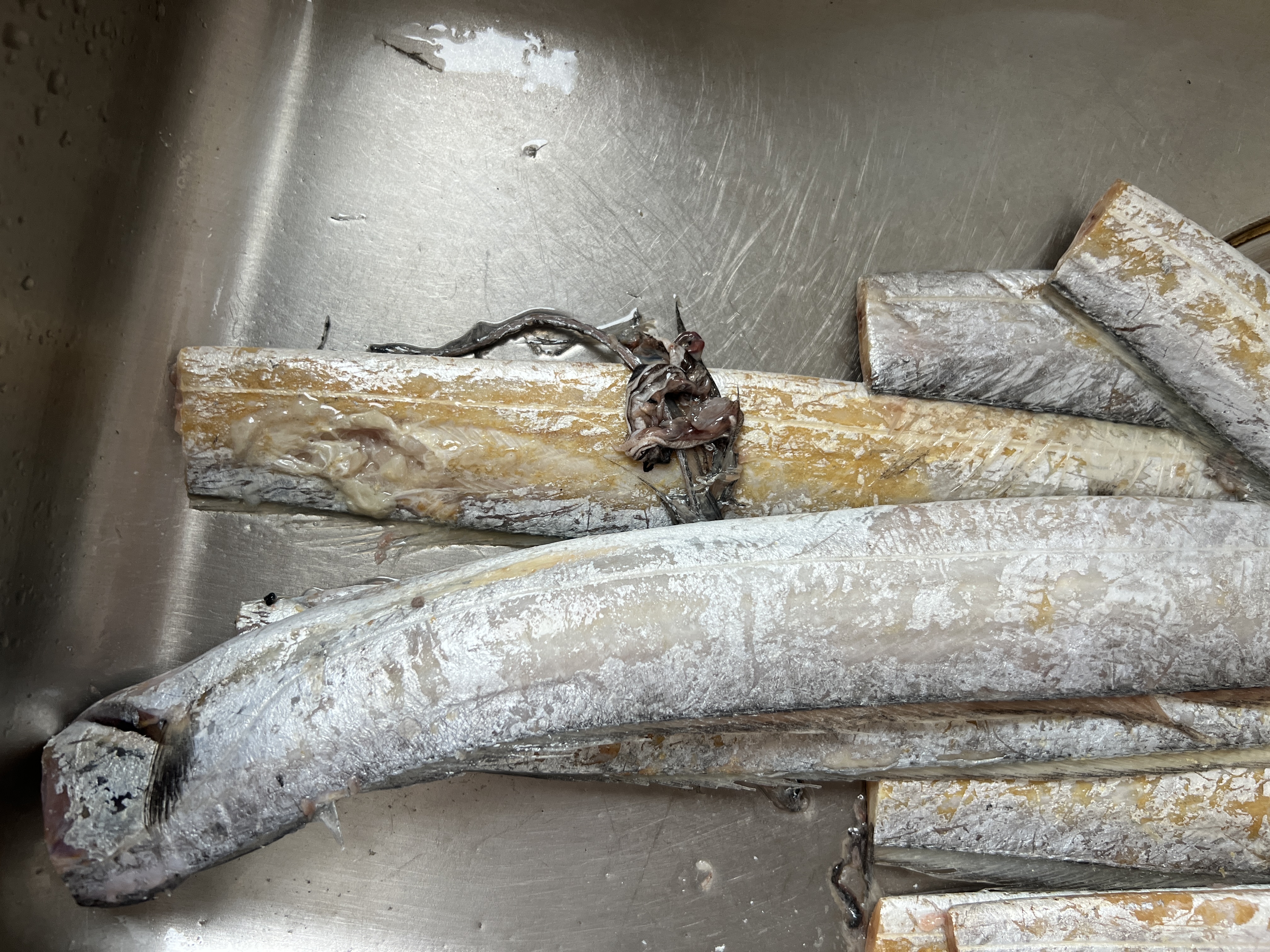 纯色本味冷冻舟山带鱼1300g 刀鱼 烧烤 (整条去嘴去尾）纯鱼肉开海季 实拍图