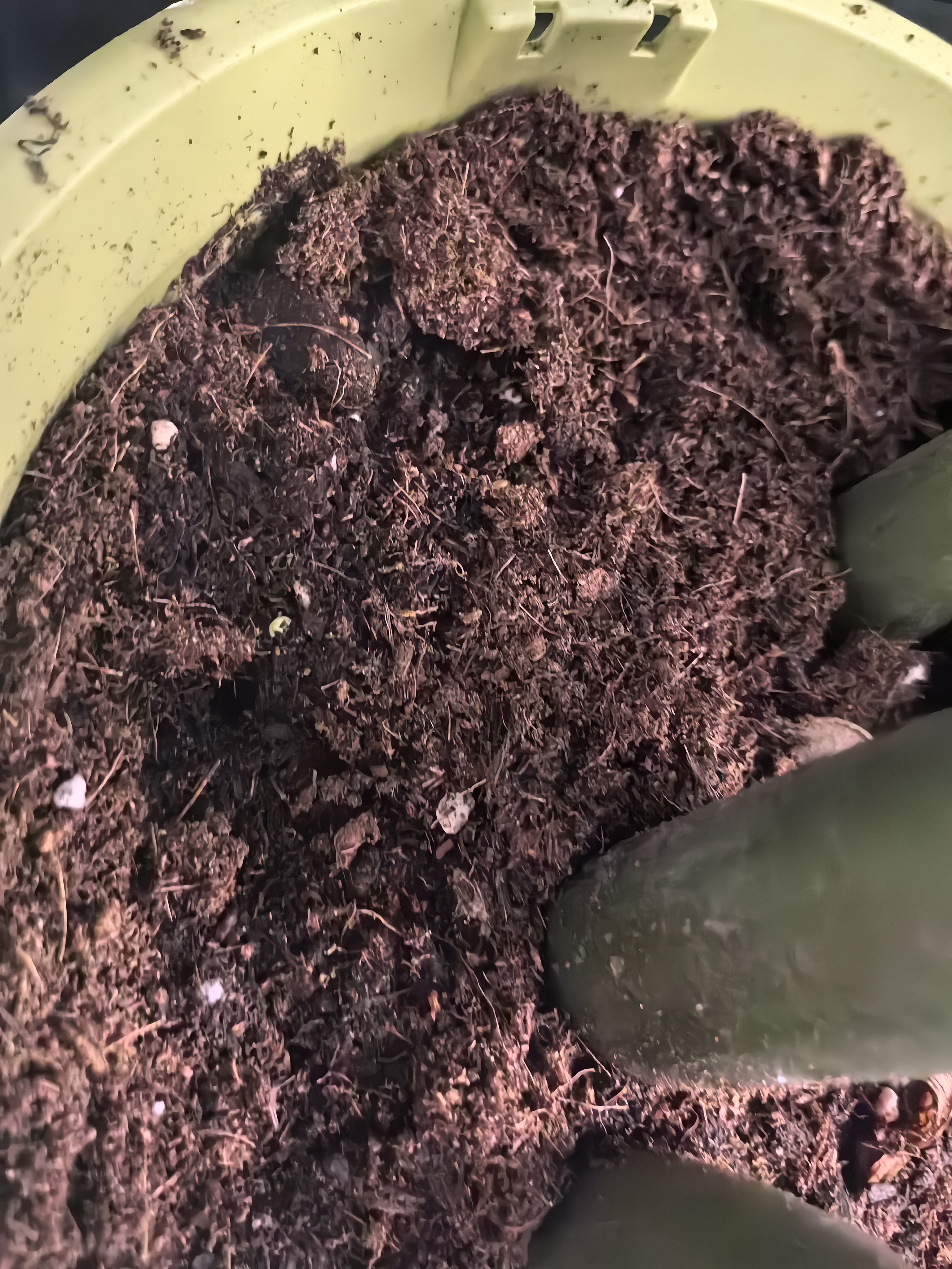 史丹利3L包装营养土园艺有机土通用型种花种菜养花专用泥炭土壤种植土 实拍图