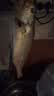 海名威 冷冻黄花鱼700g/2条装 宁德大黄鱼 海鱼 生鲜鱼类 海鲜水产 实拍图
