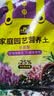 史丹利兰花专用土君子兰蝴蝶兰营养土松树皮泥炭种植盆栽养花土壤3L 实拍图