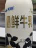 天润新疆产地  鲜牛奶巴氏杀菌鲜奶 低温奶 早餐伴侣950ml*1瓶 实拍图