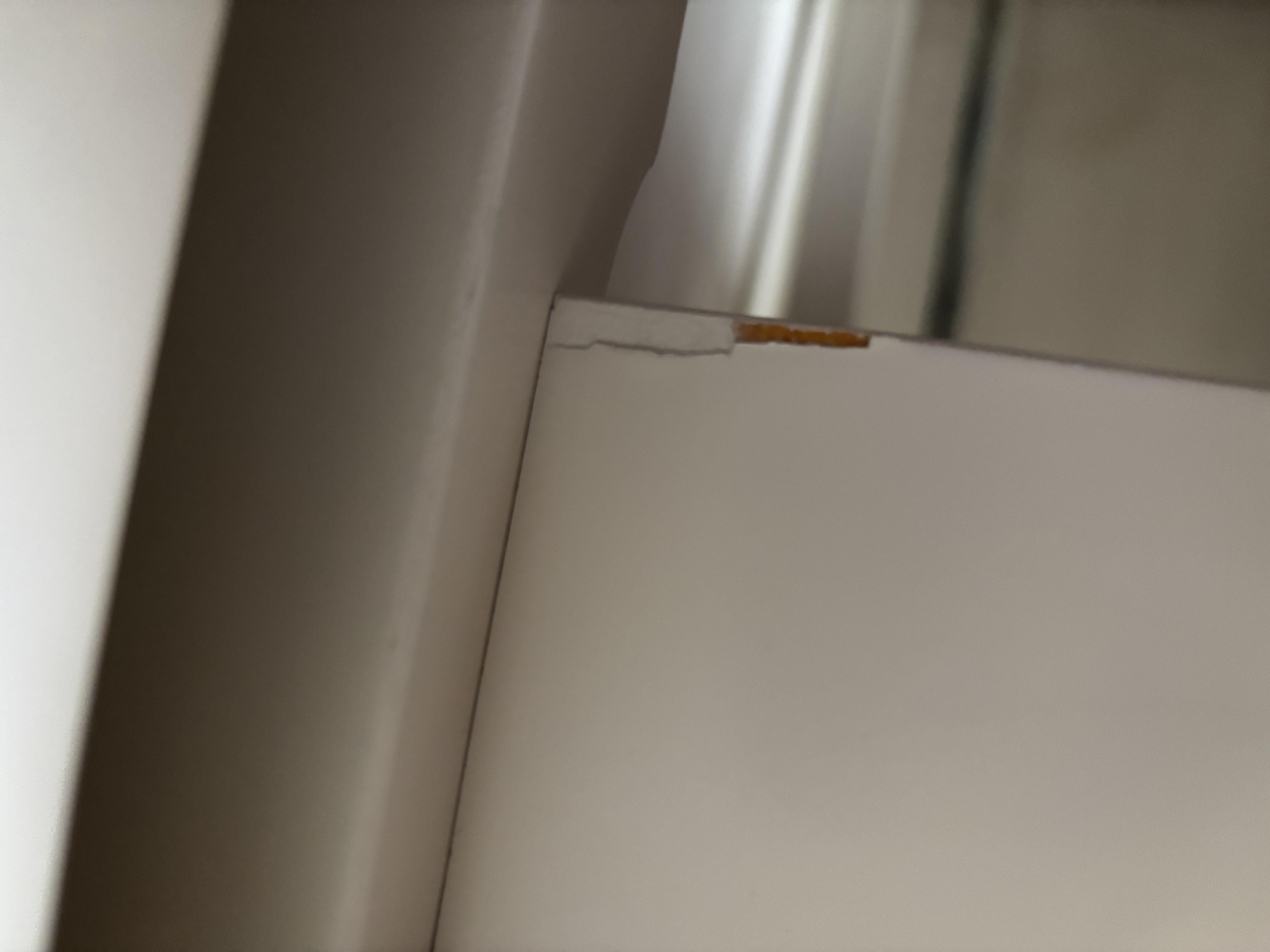 护舒宝云感棉卫生巾透气护垫量少日用140mm20片姨妈巾迷你巾京东自营 实拍图