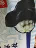 船歌鱼水饺墨鱼水饺460g(24只) 健康营养早餐夜宵速食生鲜速冻饺子 实拍图