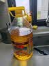 鲁花 食用油 物理压榨 葵花仁油6.18L  实拍图
