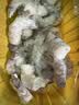新虹宝黑虎虾仁200g（18-22粒） 实拍图
