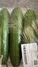 【水果菜】荷兰水果黄瓜约400g 实拍图