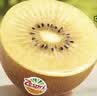 佳沛（zespri）新西兰金奇异果12粒特大果124-146g猕猴桃水果礼盒 实拍图