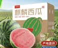京鲜生 无籽麒麟瓜西瓜 1粒装 净重5-7斤 生鲜水果源头直发包邮 实拍图