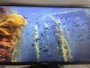 联合创新27英寸4K显示器 广色域HDR400 Type-C65W 苹果mac伴侣 出厂校准 办公电脑显示屏27C1U-D 实拍图