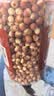 同芙 芡实500g(0.8-1cm) 肇庆红皮芡实鸡头米 粗粮煲汤料中药材原料 实拍图