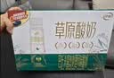 伊利草原酸奶巴氏杀菌原味酸奶230g*10瓶/箱  礼盒装 实拍图