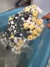 疯狂水草鱼缸过滤材料1000g适合小米鱼缸硝化细菌滤材细菌屋鱼池过滤材料 实拍图