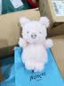 Jellycat巴塞罗熊动物毛绒玩偶儿童安抚公仔小熊潮玩送礼生日新婚礼物 巴塞罗熊 Medium 实拍图