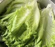 【烧烤季】钟灵山罗马生菜400g 实拍图