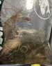 鲜活大海白虾300g（约12-18只） 实拍图