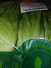 【烧烤季】钟灵山罗马生菜400g 实拍图