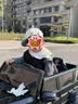 福儿宝奔驰授权大G儿童电动车玩具车可坐人四轮带遥控越野小孩宝宝送礼 四驱黑+防爆软胎+皮座+减震器+后备箱+高低门 实拍图