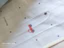 彩虹【高温断电】单人除菌除螨小型宿舍无纺布电热毯电褥子1.5*0.7米 实拍图