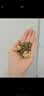 LEGENDSANDY蓝氏猫粮成猫幼猫试用猎鸟乳鸽50g-赠品勿购 实拍图