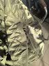 鸭鸭（YAYA）排骨羽绒服男立领纯色短款保暖鸭绒百搭男女情侣轻薄羽绒外套L 实拍图