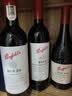 奔富（Penfolds）BIN28西拉/设拉子干红葡萄酒750ml*1瓶 原瓶进口【澳版】 实拍图
