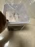 京东京造 冻干鸡小胸500g 0添加猫狗通用宠物零食纯鸡肉高蛋白长肉 实拍图