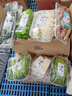 小汤山 散白菜花 约350g 新鲜蔬菜基地种植当天采摘 实拍图