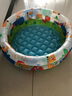 INTEX儿童海洋球池家用充气波波池室内戏水池游戏游泳池宝宝玩具 恐龙世界池（61*22CM）+脚泵 实拍图