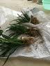 劉閣蘭花四季兰花苗中华红 冬带浓香花苞出售内带多个好养花卉盆栽 紫薇粉荷6苗连体裸根送肥 实拍图