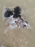 探索鲸 蓝牙耳机无线双耳塞入耳式迷你跑步运动VIVO华为OPPO苹果通用耳机挂件 【智能触控+自动配对耳机】+宇航员 实拍图