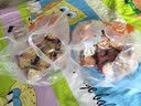 伟龙饼干葱香薄脆饼干早餐饼干小包装怀旧办公室解馋零食小吃休闲食品 蛋黄薄饼味 2000g 实拍图