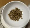 冠能猫粮成猫猫粮鸡肉味7kg 全价猫粮 稳固免疫 适口性强 实拍图