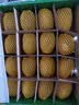 佳沛（zespri）新西兰金奇异果16粒经典果88-103g猕猴桃水果礼盒 实拍图
