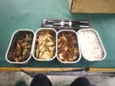 小熊（Bear）有钛电热饭盒 加热饭盒 上班热饭神器京东自营插电式电加热饭盒 不锈钢双层四胆1.6L DFH-G16W7 实拍图