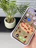 闪魔 适用苹果13钢化膜 iphone13pro手机膜全屏13promax防爆顺滑手感无边高清抗指纹保护膜 【T1-Pro】高清防爆-2片装+神器 苹果13/13Pro 实拍图