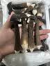 京鲜生云南新鲜黑皮鸡枞净重1斤鲜菌菇特产煲汤火锅食材源头直发 实拍图