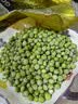 香巴度青豆粒1.8斤 甜豌豆粒冷冻蔬菜沙拉半加工蔬菜轻食焗饭炒饭配菜 实拍图