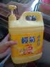 榄菊生姜洗洁精3kg 厨房洗碗洗涤灵A类食品用级别果蔬清洗剂 实拍图