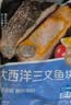 京觅大西洋三文鱼块680g冷冻独立包装带皮去刺去鳞新老包装送礼 实拍图