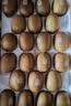 佳沛（zespri）新西兰金奇异果22粒巨大原箱146-175g猕猴桃水果礼盒 实拍图