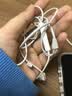 Apple/苹果 EarPods 闪电/Lightning有线耳机 iPhone耳机原装耳机适用闪电接口的手机平板 实拍图
