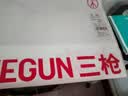 三枪【大胸前开扣文胸】无钢圈纯棉胸垫遮副乳柔软亲肤大罩杯内衣 实拍图