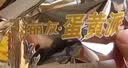 好丽友（ORION）蛋黄派36枚828g/盒 糕点蛋糕面包营养早餐休闲零食点心解馋下午茶 实拍图