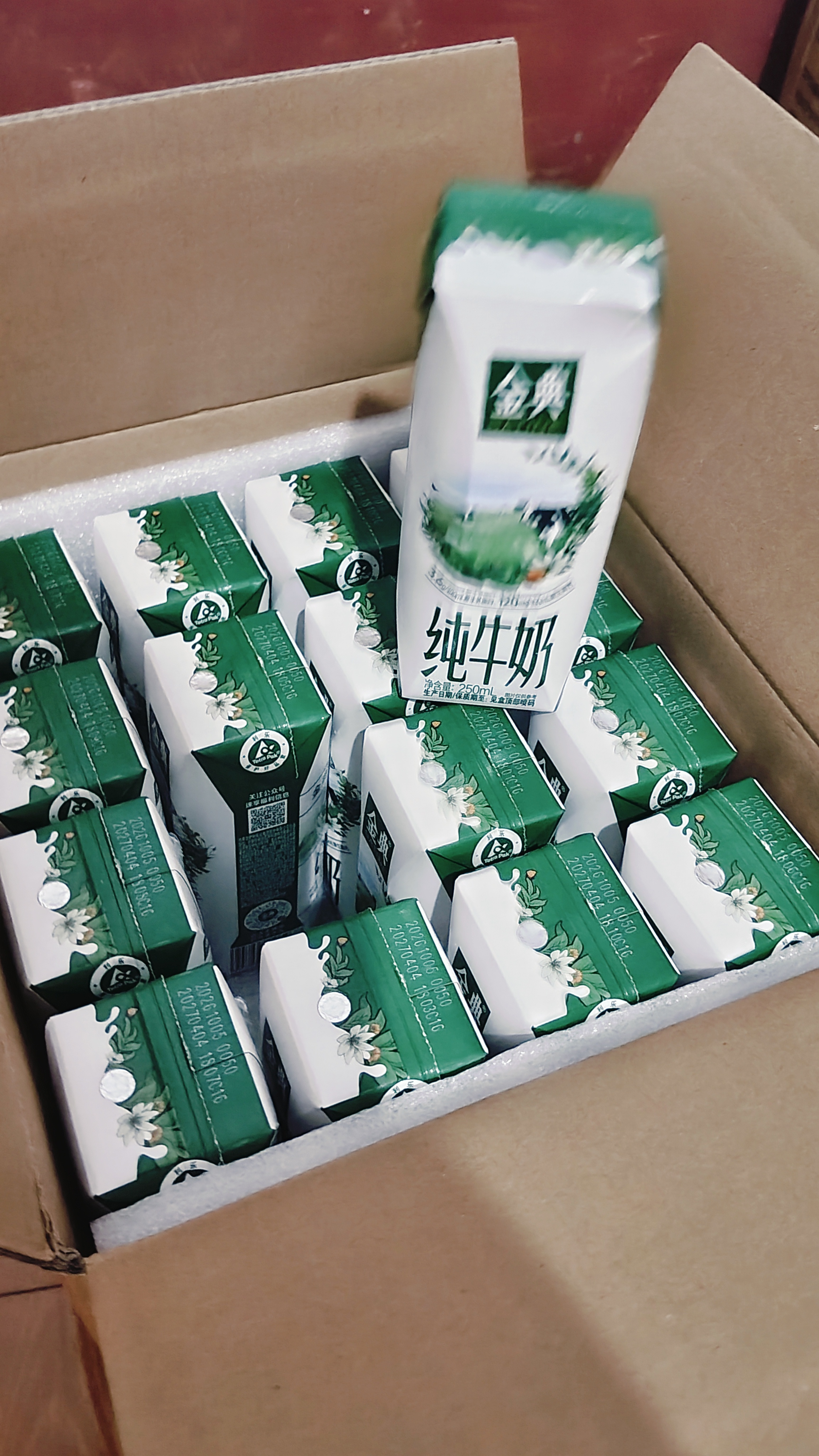 伊利【新鲜日期】金典纯牛奶早餐奶250ml*16盒3.6g乳蛋白 礼盒装 实拍图