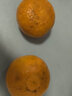 青尊园 广西正宗皇帝柑大果新鲜现摘黄帝甘超甜水果当季整箱贡桔橘子 尝鲜装 2斤 晒单实拍图