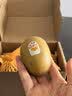 佳沛（zespri）新西兰金奇异果猕猴桃 5粒装 单果约88-103g 水果源头直发 实拍图
