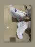 斯凯奇（Skechers）蕾丝熊老爹鞋女鞋冬季厚底增高熊猫鞋减震休闲运动鞋11959 实拍图