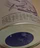 雀巢（Nestle）早启能恩 特殊医学用途早产 低出生体重婴儿配方食品 400g 实拍图