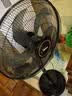美的（Midea）工业电风扇20吋牛角扇立式金属落地扇商用家用空气循环强力大风力大功率工厂 FS45-22N（六叶劲风） 实拍图